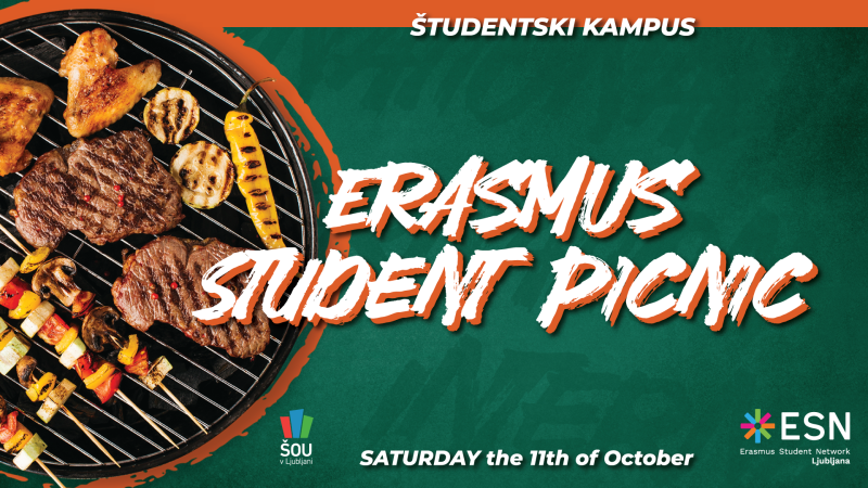 Erasmus student picnic