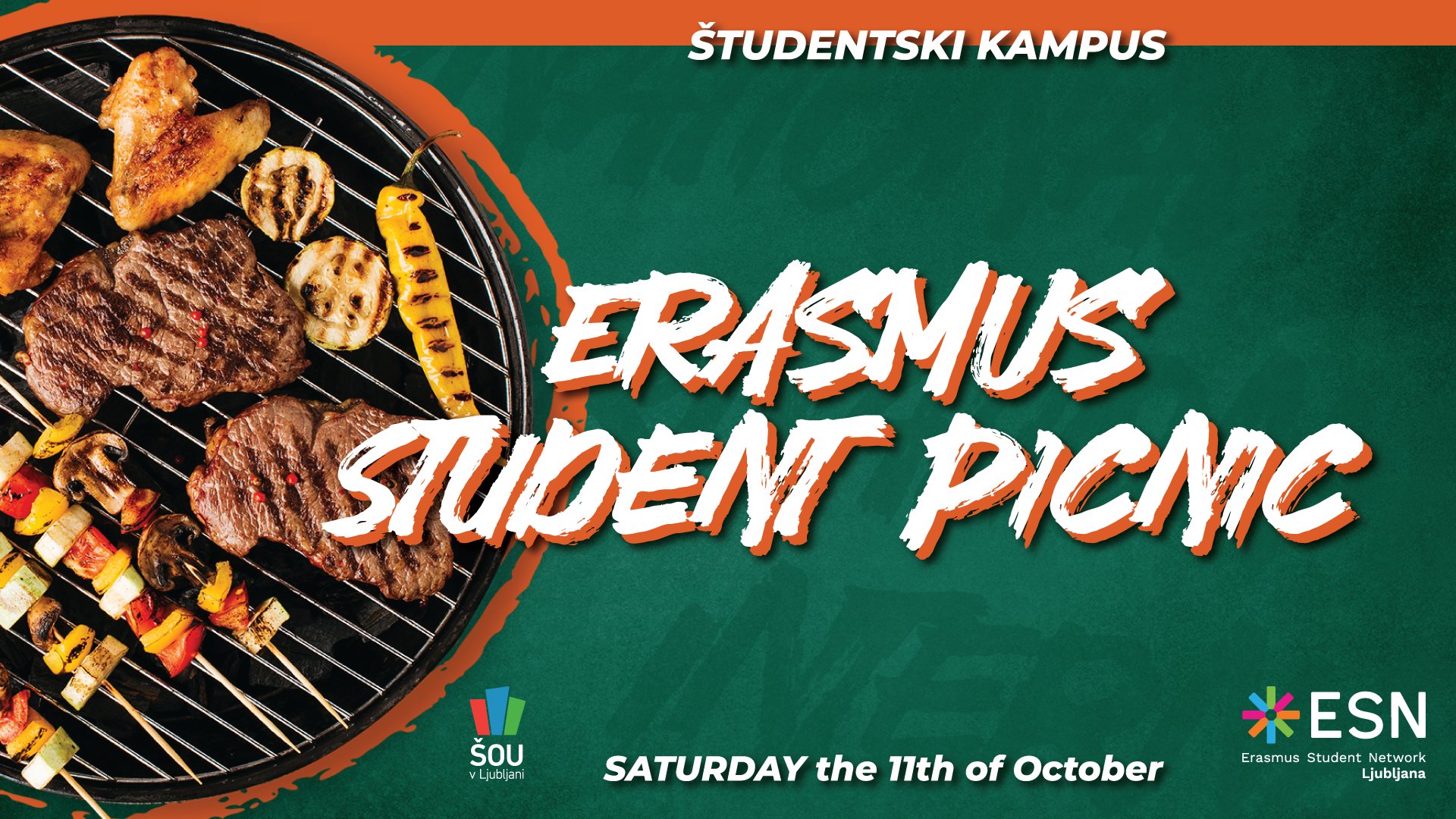 Erasmus student picnic