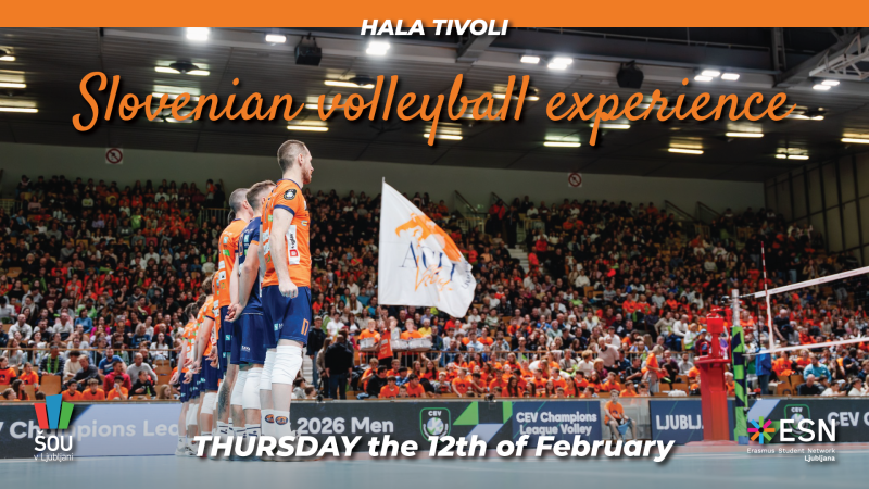 Slovenian volleyball experience