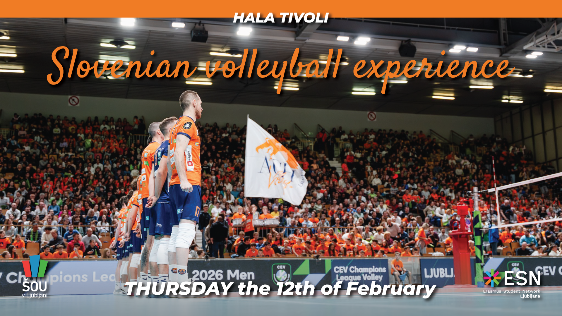 Slovenian volleyball experience